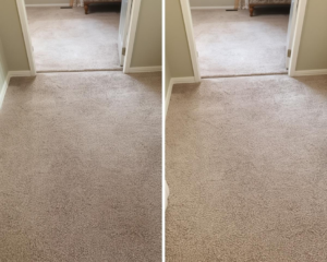 Best residential carpet cleaning
